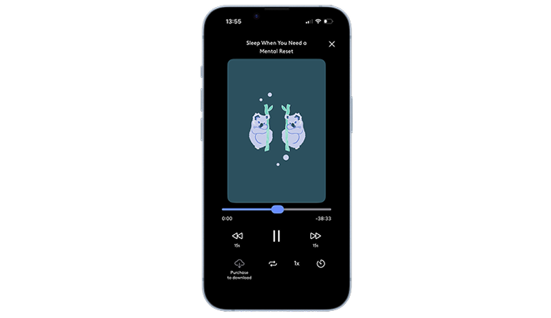 The Clementine app playing a session