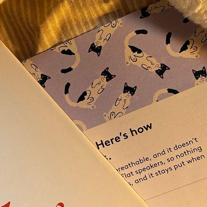 The little printed guide, “Here’s how”