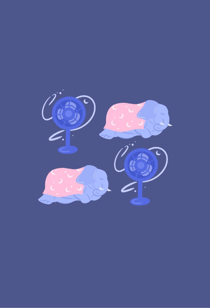 Sleep Through Menopause Bundle bundle Clementine Shop 