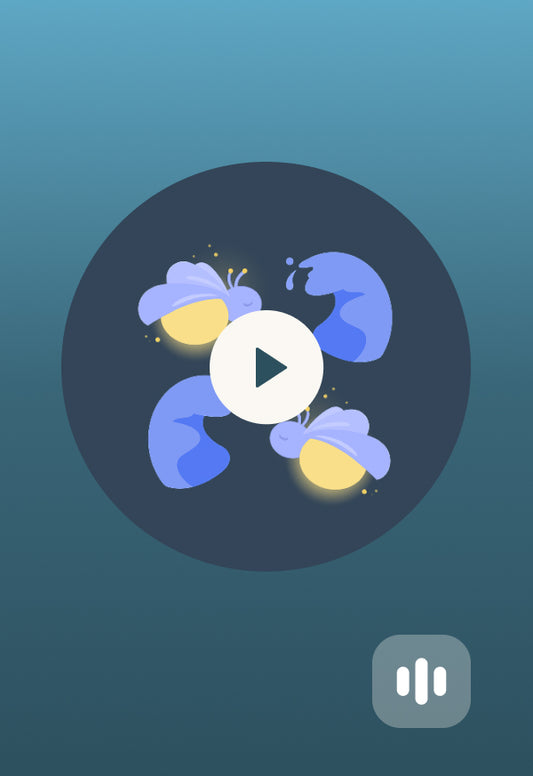 Sleep To The Sounds of Nature Bundle