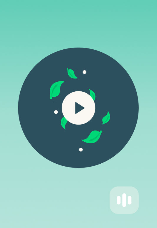 Leaves & Wind Soundscape