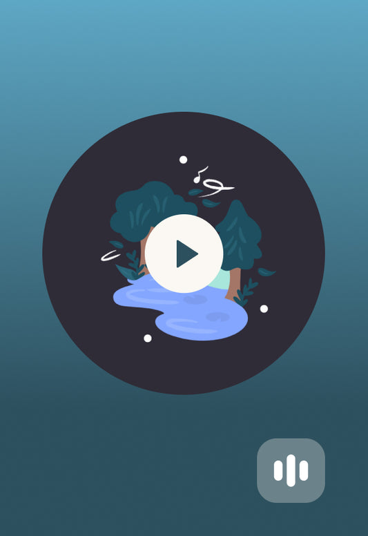 Natures Sounds: Forest & Stream for Deep Sleep (8 Hrs)